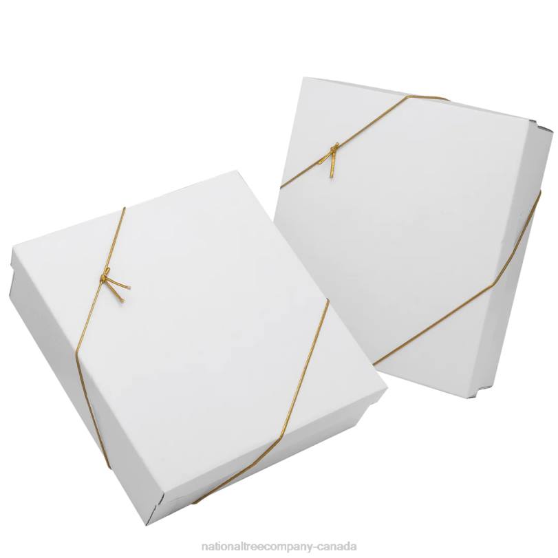 H4X0519National Tree Company 20-Piece Christmas Tree Ornament Set, Yuletide Glam Collection