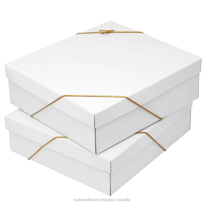 H4X0532National Tree Company 20-Piece Christmas Tree Ornament Set, Arctic Lights Collection