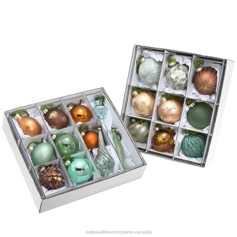 H4X0586National Tree Company 20-Piece Christmas Tree Ornament Set, Alpine Collection