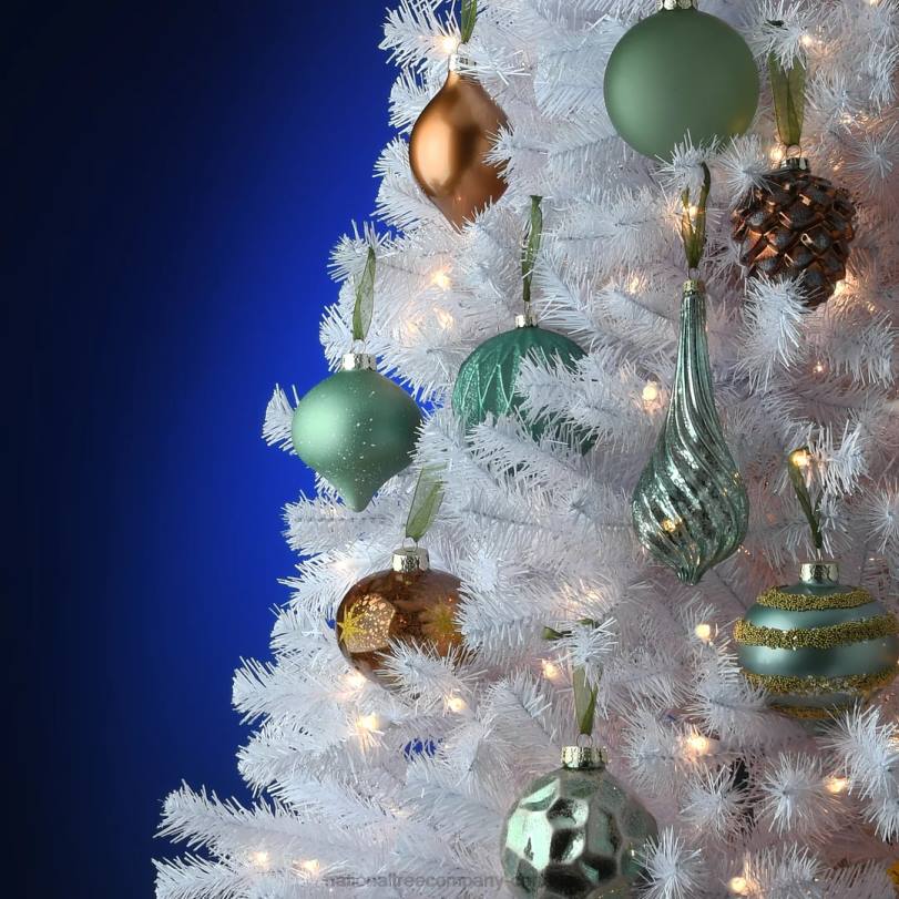 H4X0586National Tree Company 20-Piece Christmas Tree Ornament Set, Alpine Collection