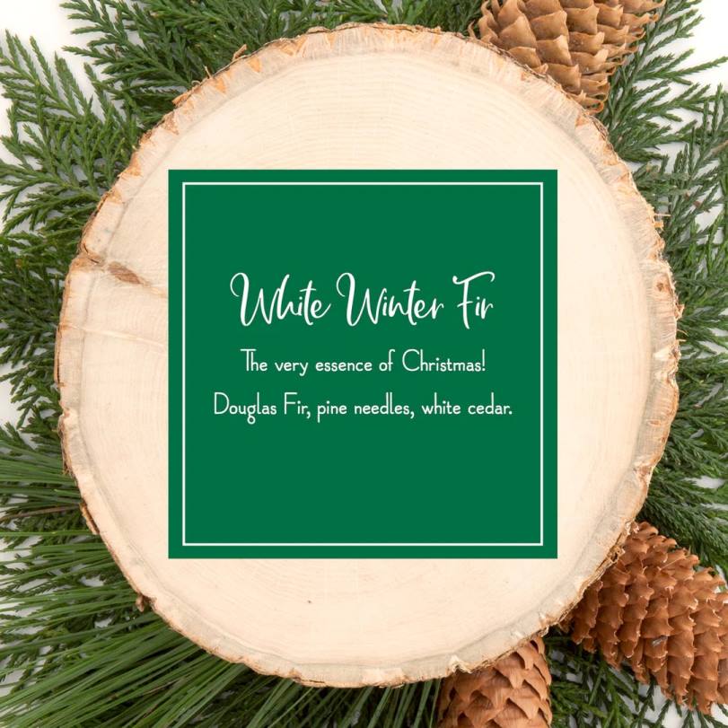 H4X0541National Tree Company Scented Ornaments, 2 Pack- 6ct Bottle, White Winter Fir, Fragrance-Infused Paper Sticks