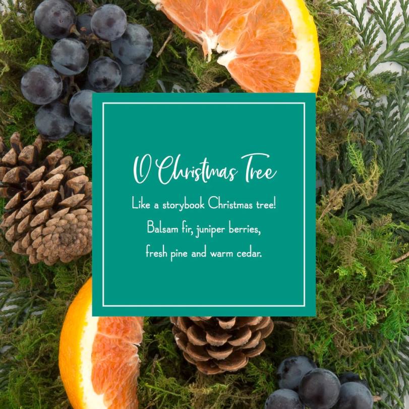 H4X0542National Tree Company Scented Ornaments, 2- Pack- 6ct Bottle, O Christmas Tree, Fragrance-Infused Paper Sticks