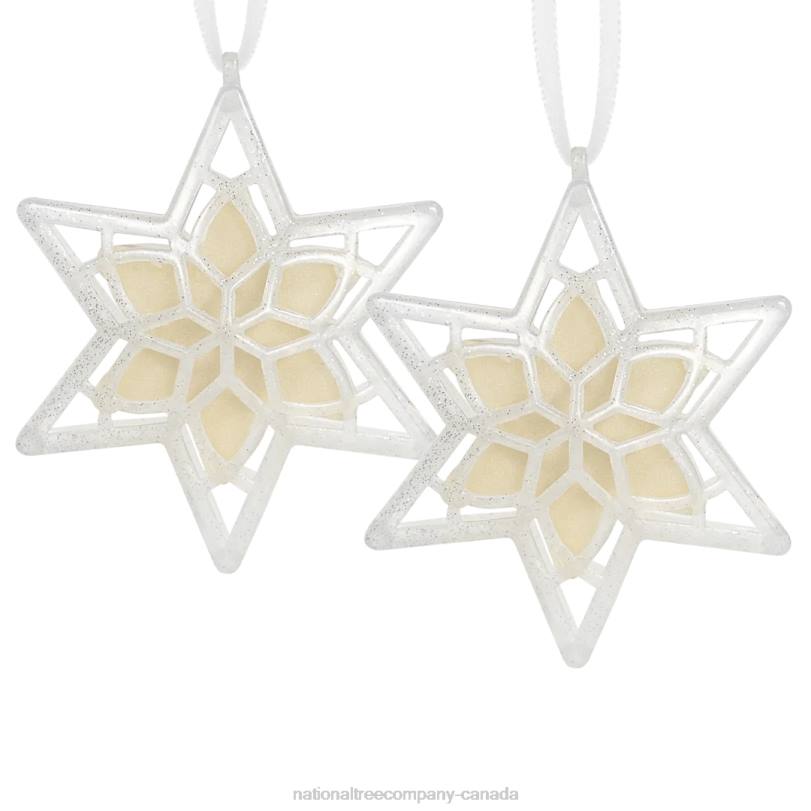 H4X0543National Tree Company Scentsicles, Scented Star Ornament, White Winter Fir, 2-Pack