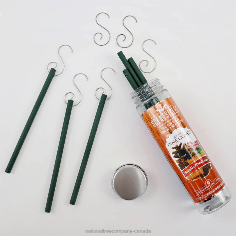 H4X0544National Tree Company Scented Ornaments, 2-Pack- 6ct Bottle, Spiced Pine Cones, Fragrance-Infused Paper Sticks