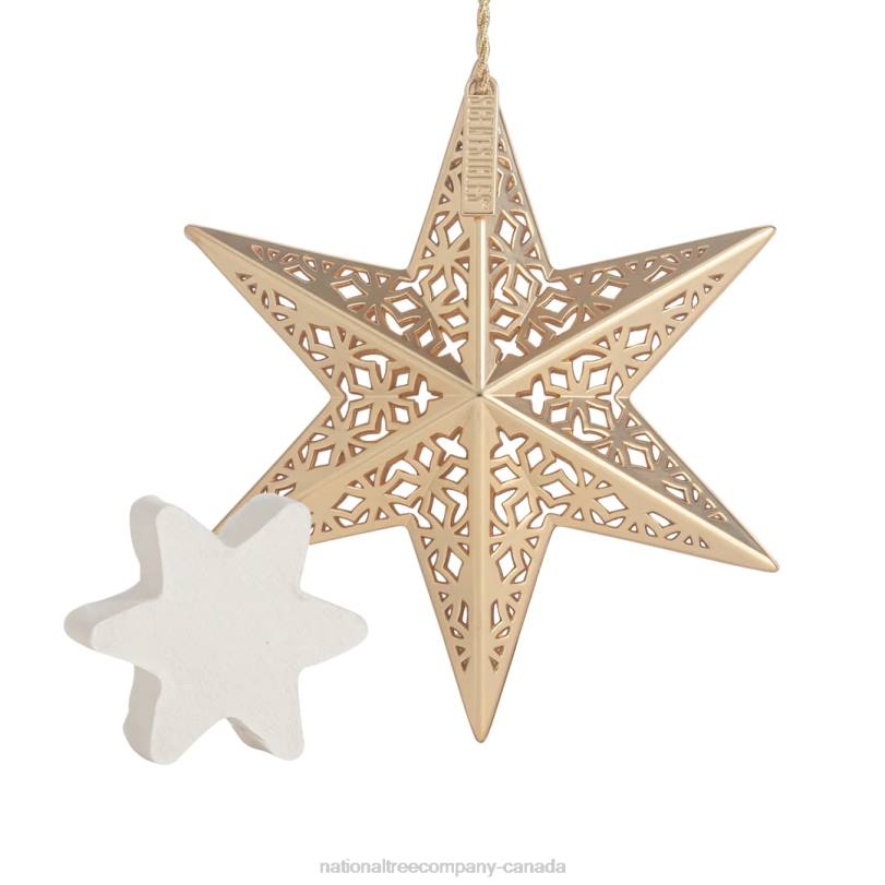 H4X0545National Tree Company Scentsicles Decorative Ornament, Metal Gold Star, White Winter Fir with Refill