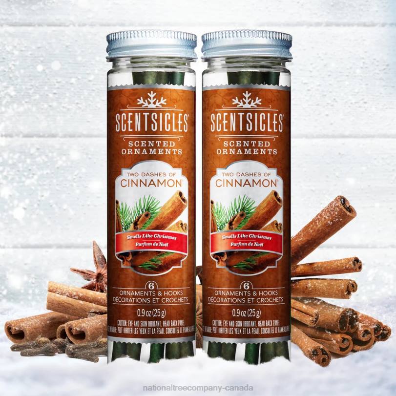 H4X0546National Tree Company Scented Ornaments, 2-Pack- 6ct Bottle, 2 Dashes of Cinnamon, Fragrance-Infused Paper Sticks