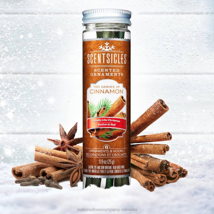 H4X0546National Tree Company Scented Ornaments, 2-Pack- 6ct Bottle, 2 Dashes of Cinnamon, Fragrance-Infused Paper Sticks