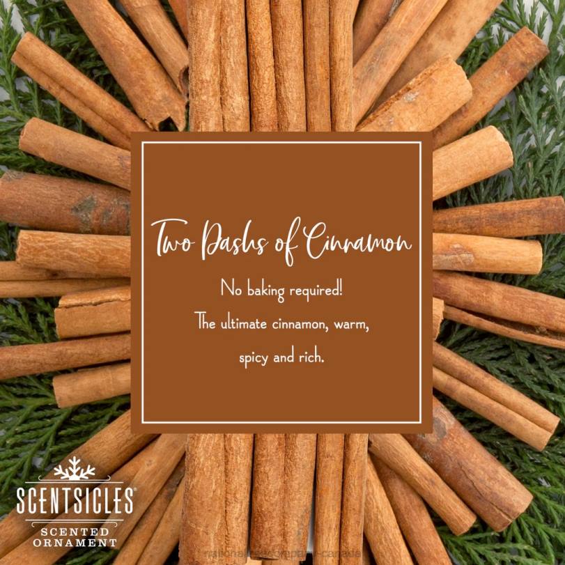 H4X0546National Tree Company Scented Ornaments, 2-Pack- 6ct Bottle, 2 Dashes of Cinnamon, Fragrance-Infused Paper Sticks
