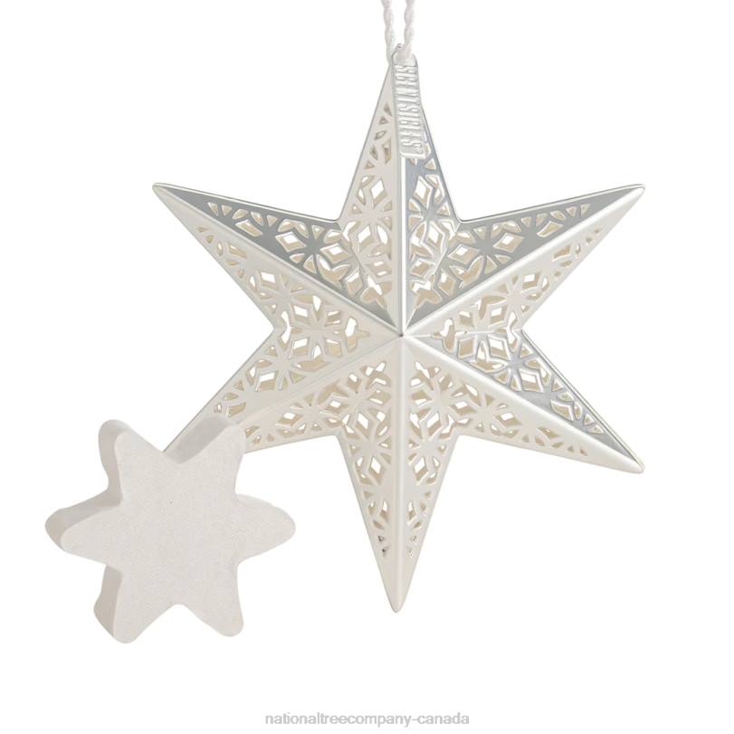H4X0548National Tree Company Scentsicles Decorative Ornament, Metal White Star, White Winter Fir with Refill