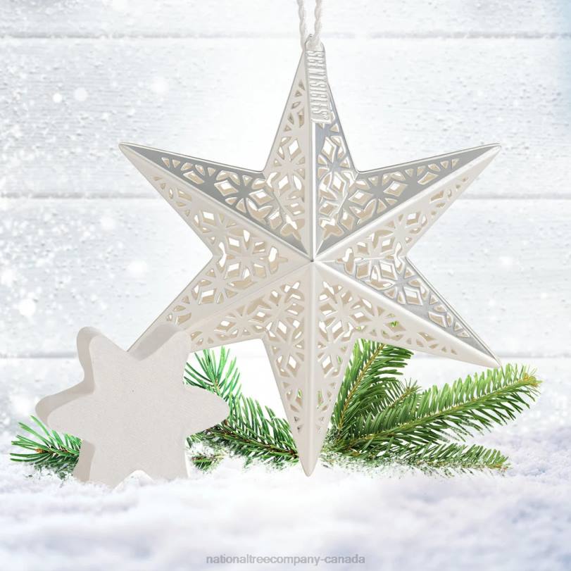 H4X0548National Tree Company Scentsicles Decorative Ornament, Metal White Star, White Winter Fir with Refill
