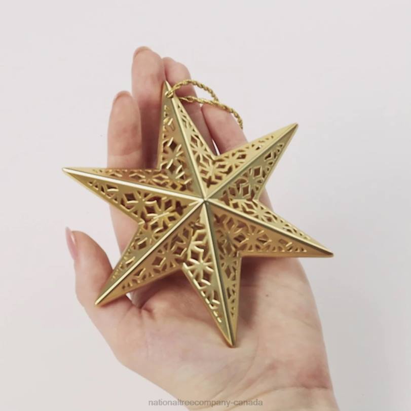 H4X0548National Tree Company Scentsicles Decorative Ornament, Metal White Star, White Winter Fir with Refill