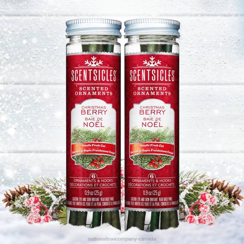 H4X0549National Tree Company Scented Ornaments, 2-Pack- 6ct Bottle, Christmas Berry, Fragrance-Infused Paper Sticks