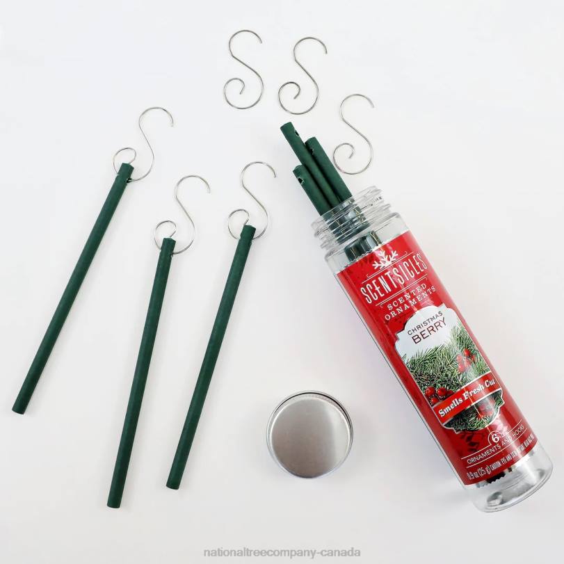H4X0549National Tree Company Scented Ornaments, 2-Pack- 6ct Bottle, Christmas Berry, Fragrance-Infused Paper Sticks