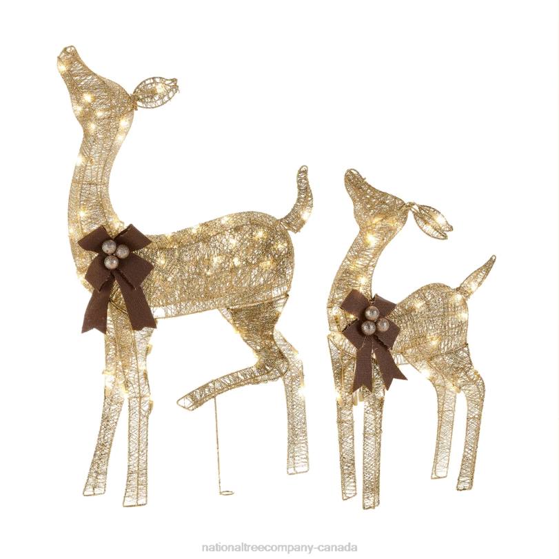 H4X0590National Tree Company 38 in. and 28 in. Pre-Lit Fawn with Doe Decoration