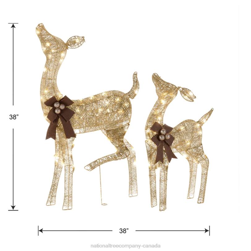 H4X0590National Tree Company 38 in. and 28 in. Pre-Lit Fawn with Doe Decoration