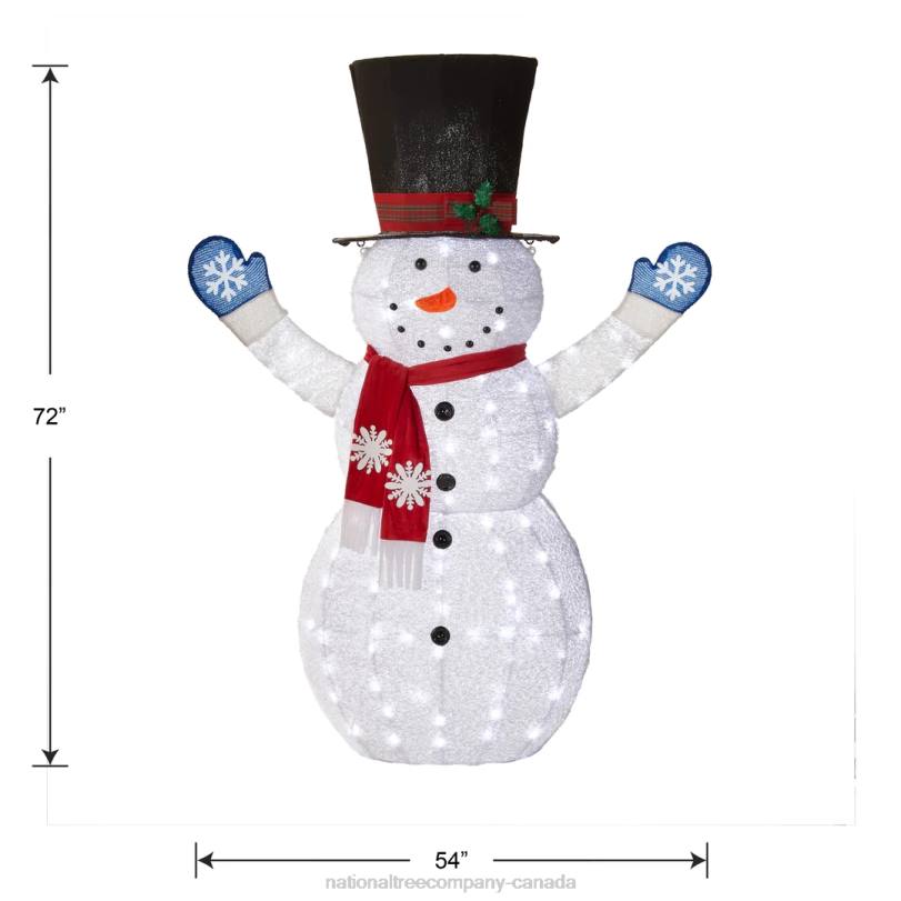 H4X0601National Tree Company 72in Snowman Decoration with White LED Lights