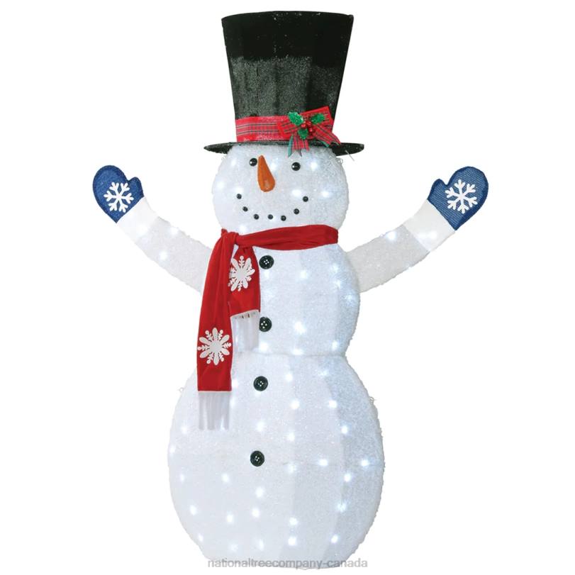H4X0601National Tree Company 72in Snowman Decoration with White LED Lights