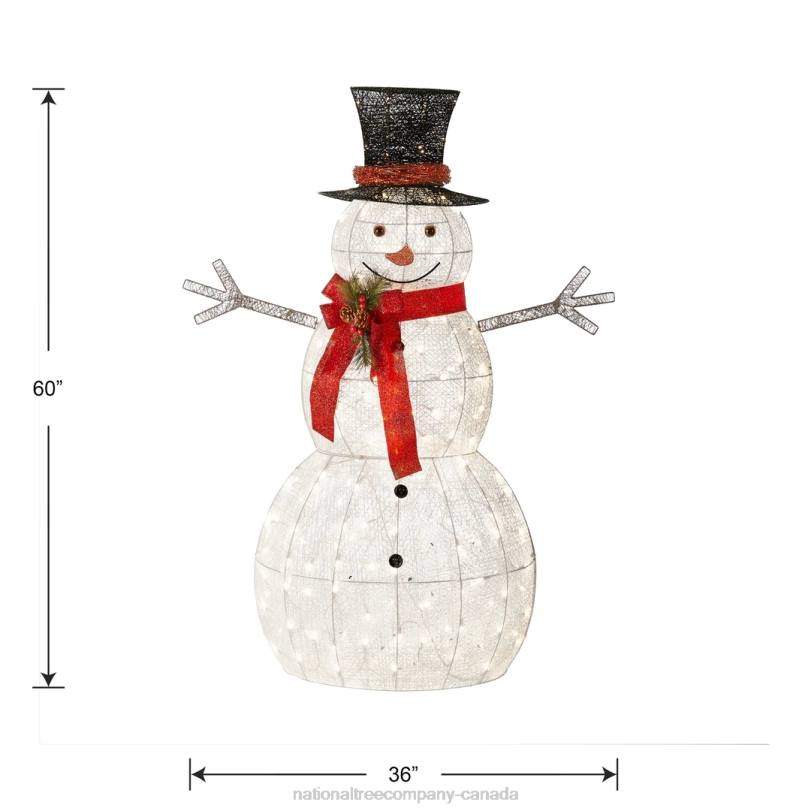 H4X0602National Tree Company 60in Snowman Decoration with Warm White LED Lights