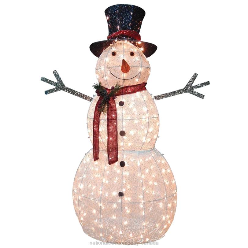 H4X0602National Tree Company 60in Snowman Decoration with Warm White LED Lights