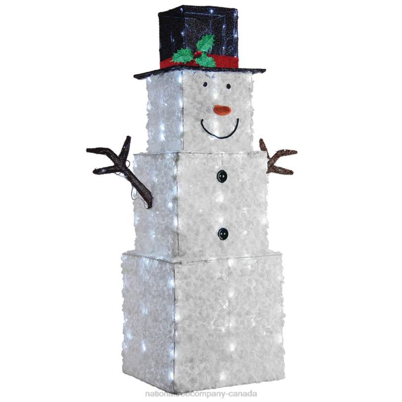 H4X0616National Tree Company 42in Snowman Decoration with Cool White LED Lights