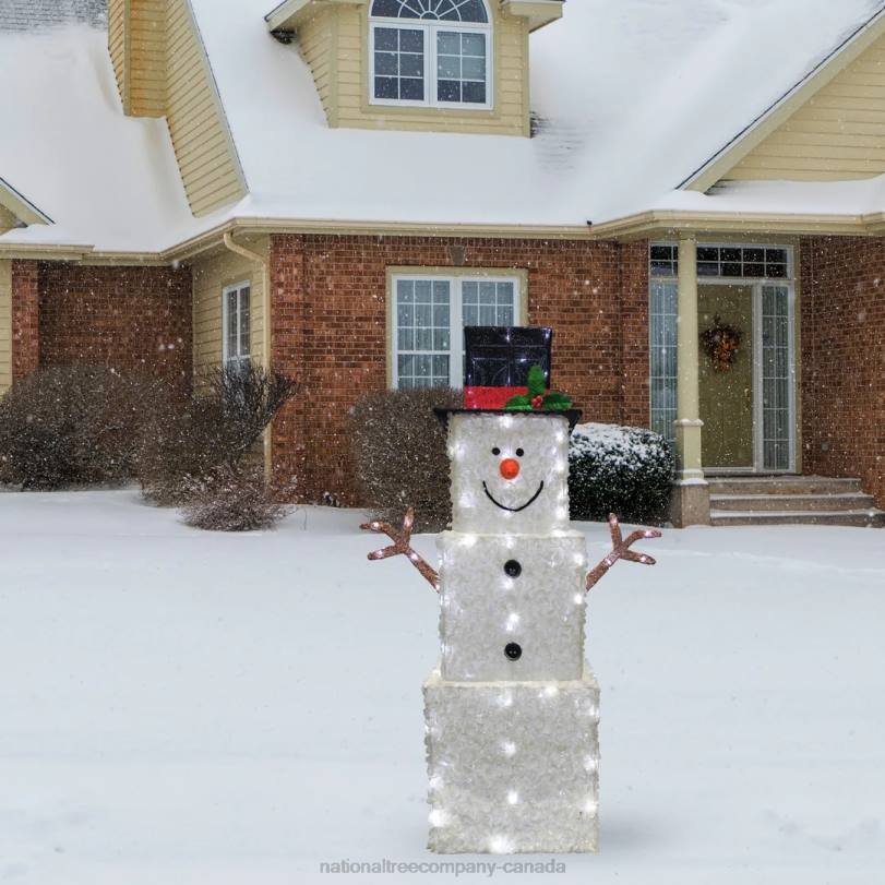 H4X0616National Tree Company 42in Snowman Decoration with Cool White LED Lights