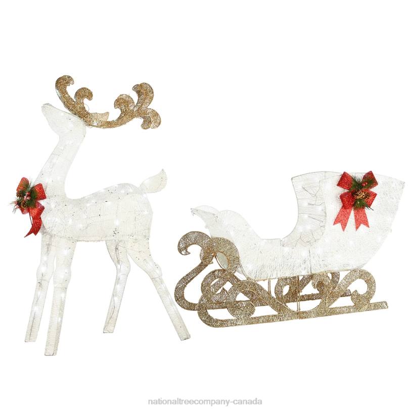 H4X0621National Tree Company Pre Lit Sisal Reindeer and Sleigh Decoration, Cool White LED Lights, Plug In, Christmas Collection, 48 Inches
