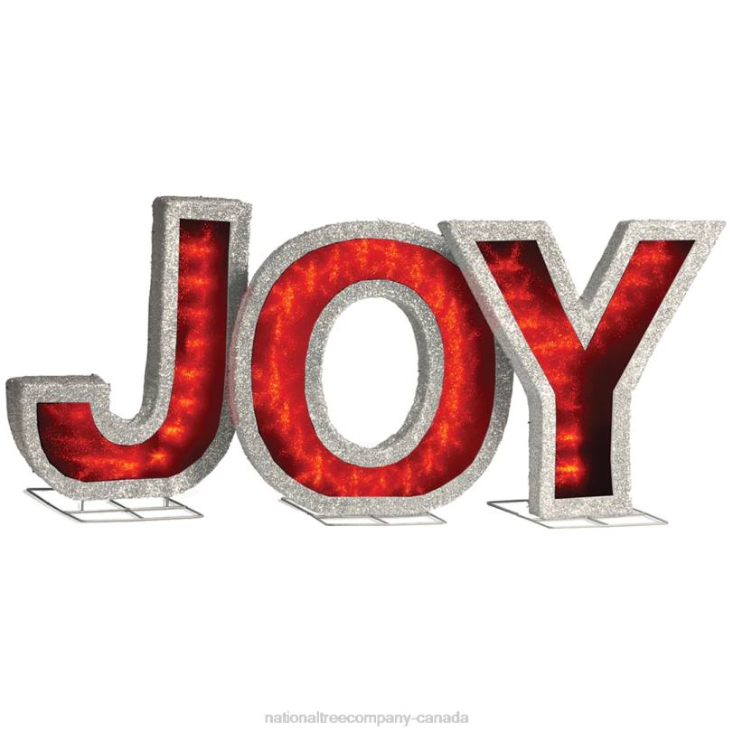 H4X0641National Tree Company Pre-Lit LED JOY Decoration