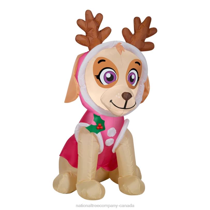 H4X0647National Tree Company Inflatable Skye from Paw Patrol, LED Lights, Plug In, Christmas Collection, 3.5 Feet