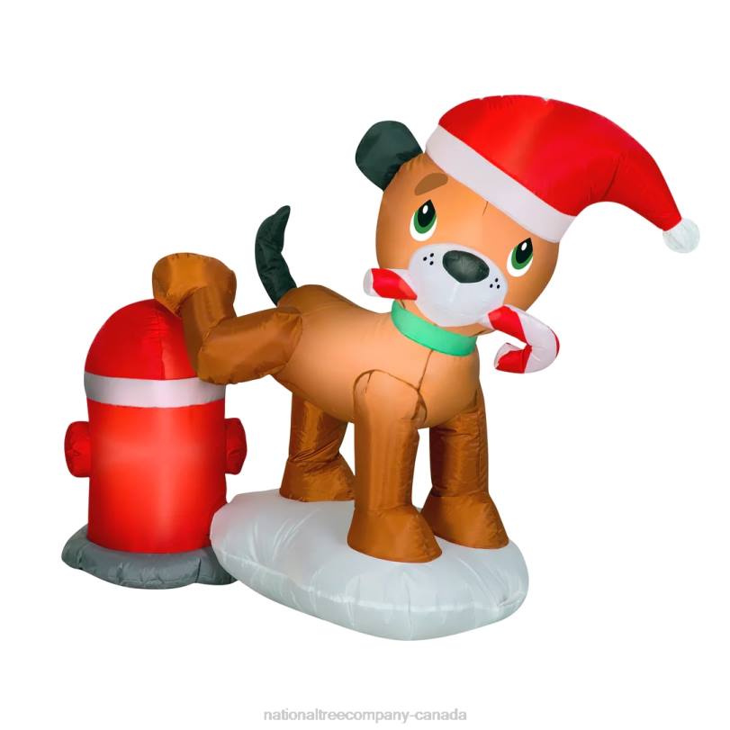 H4X0654National Tree Company Inflatable Puppy Dog and Fire Hydrant, LED Lights, Plug In, Christmas Collection, 4 Feet