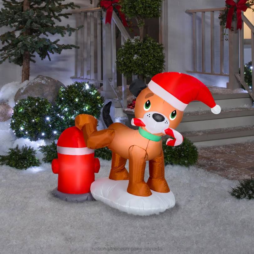 H4X0654National Tree Company Inflatable Puppy Dog and Fire Hydrant, LED Lights, Plug In, Christmas Collection, 4 Feet