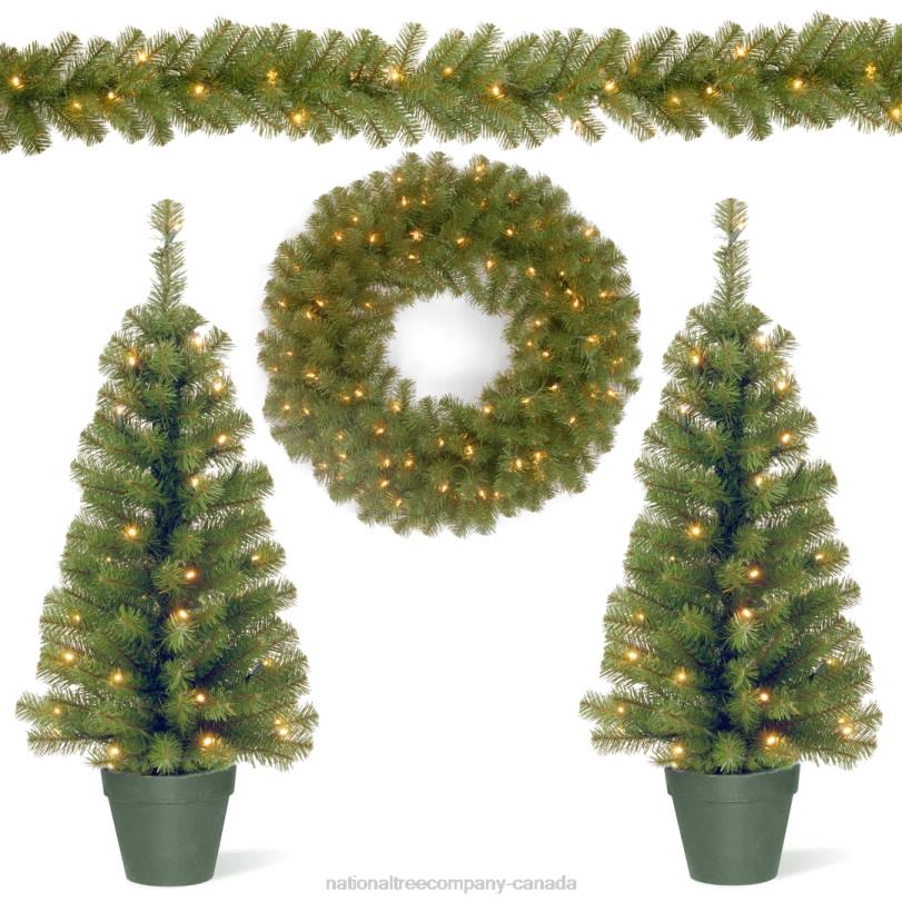 H4X0512National Tree Company Evergreen Assortment with Battery Operated LED Lights
