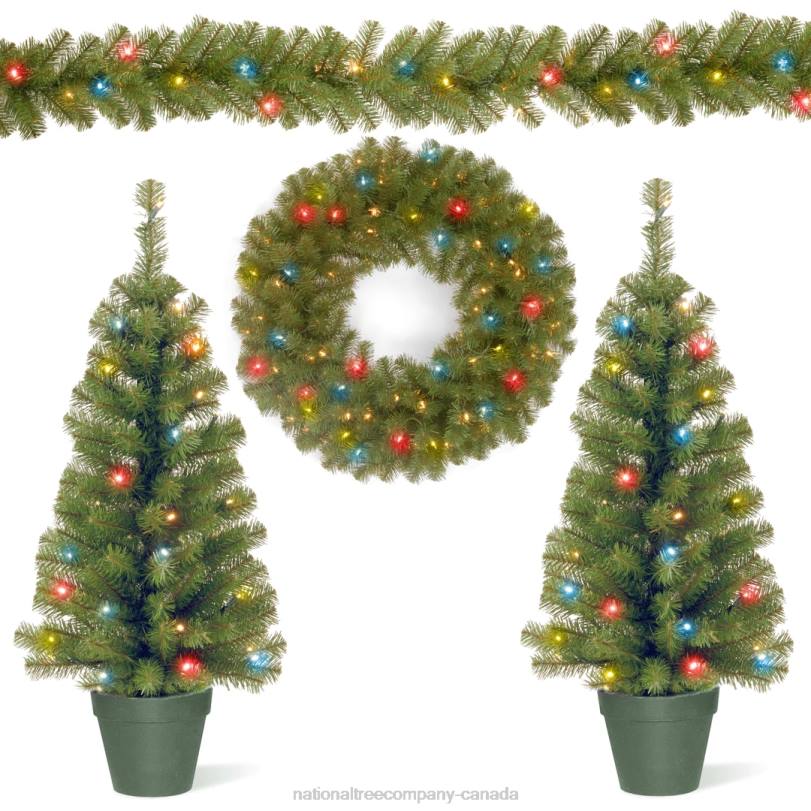 H4X0513National Tree Company Promotional Assortment with Battery Operated LED Lights