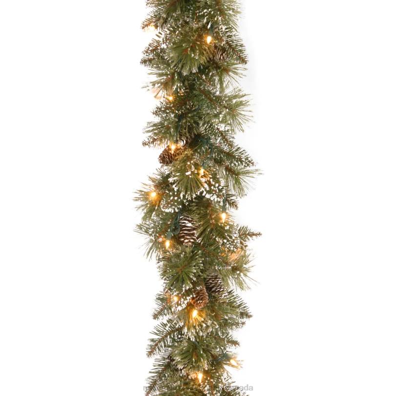H4X0330National Tree Company Pre-Lit Artificial Christmas Garland, Green, Glittery Bristle Pine, White Lights, Decorated with Pine Cones, Battery Operated, Christmas Collection, 6 Feet