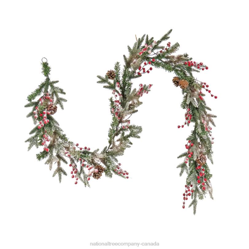 H4X0349National Tree Company 6 ft. HGTV Home Collection Pre-Lit Frosted Traditions Garland