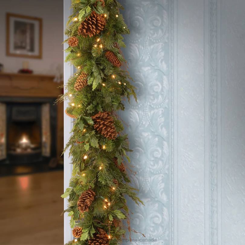H4X0425National Tree Company Pre-Lit Artificial Christmas Garland, Green, Juniper Pine, White Lights, Decorated With Pine Cones, Plug In, Christmas Collection, 6 Feet