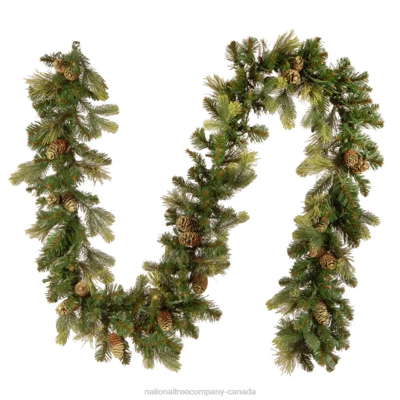 H4X0326National Tree Company Pre-Lit Artificial Christmas Garland, Green, Carolina Pine, White Lights, Decorated with Pine Cones, Plug In, Christmas Collection, 9 Feet