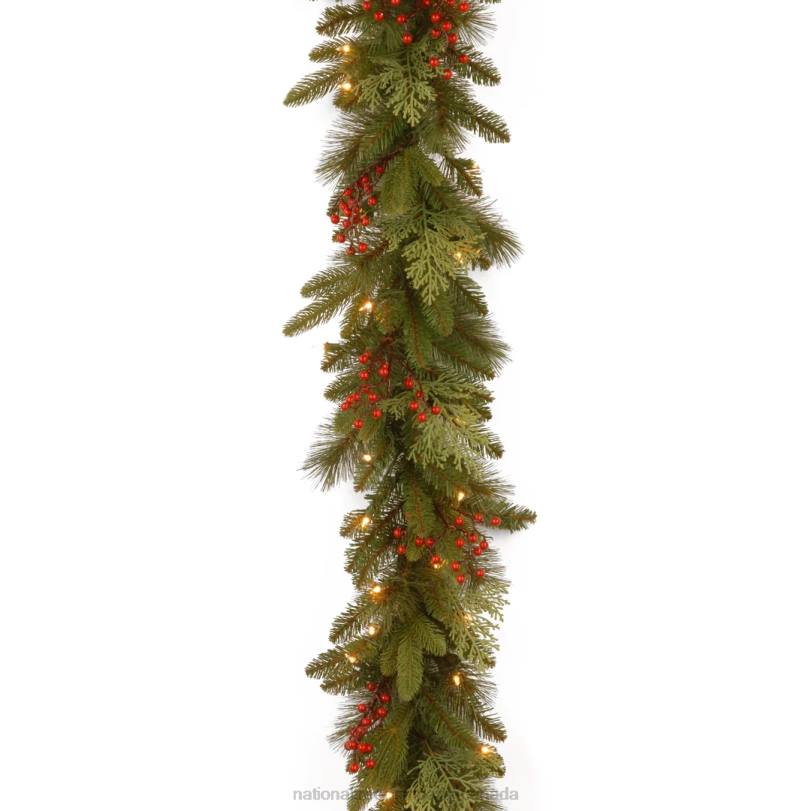 H4X0328National Tree Company Pre-Lit 'Feel Real' Artificial Christmas Garland, Green, Classical, White Lights, Decorated With Berry Clusters, Plug In, Christmas Collection, 9 Feet