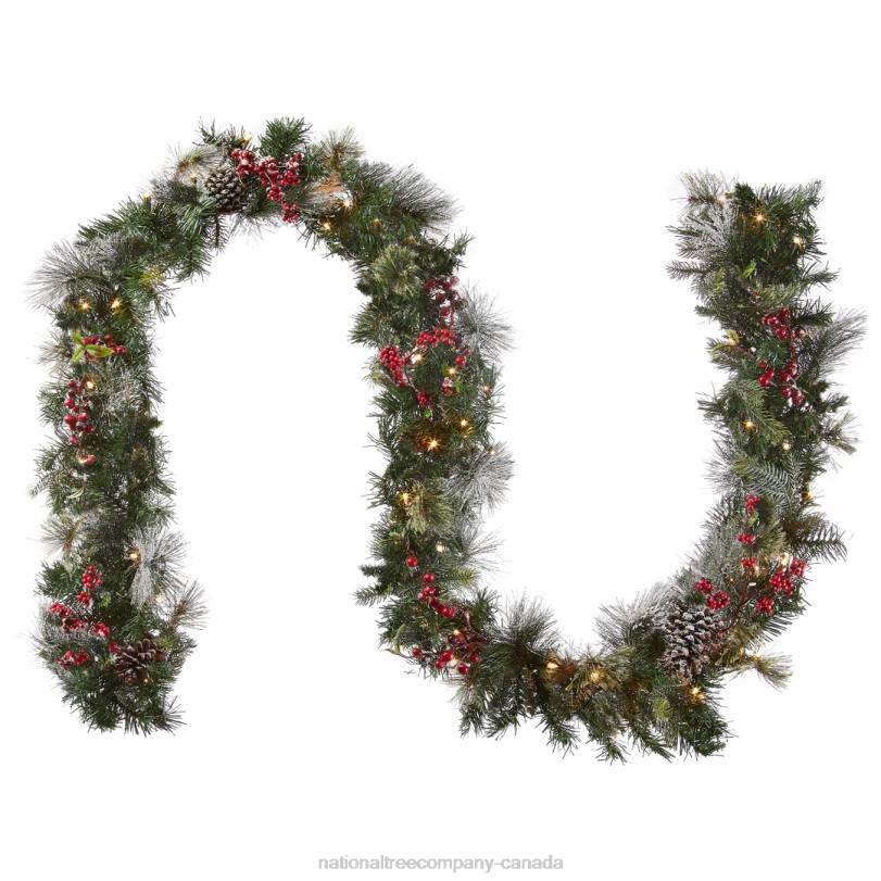 H4X0329National Tree Company Pre-Lit Artificial Christmas Garland, Green, Wintry Berry, White Lights, Decorated With Pine Cones, Berry Clusters, Frosted Branches, Plug In, Christmas Collection, 9 Feet