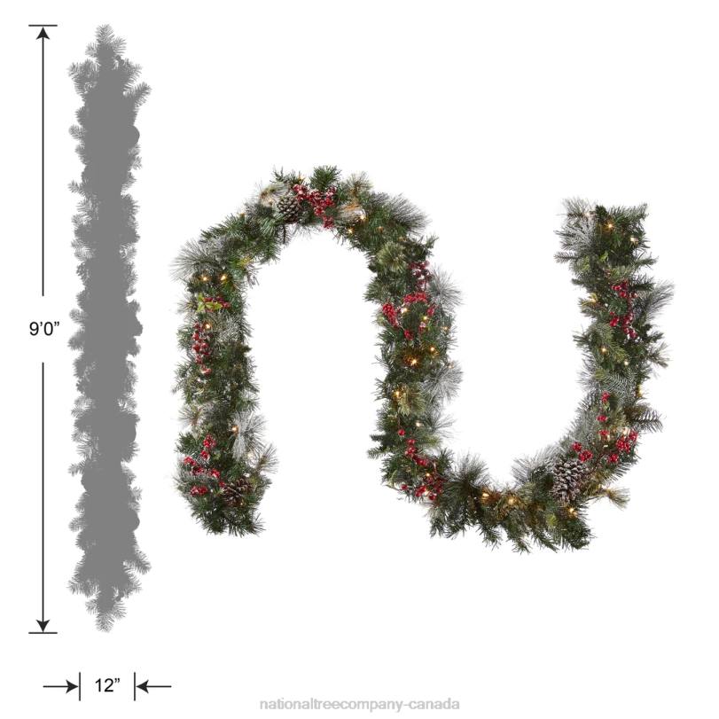 H4X0329National Tree Company Pre-Lit Artificial Christmas Garland, Green, Wintry Berry, White Lights, Decorated With Pine Cones, Berry Clusters, Frosted Branches, Plug In, Christmas Collection, 9 Feet