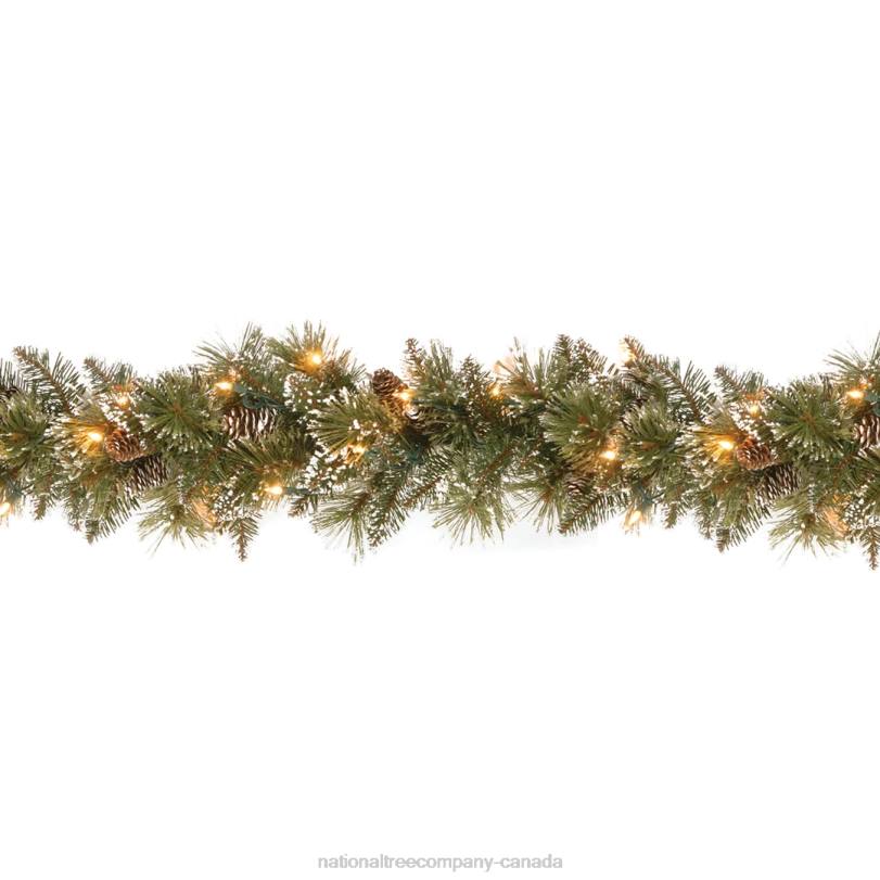 H4X0333National Tree Company 9 ft. Glittery Bristle Pine Garland with Clear Lights