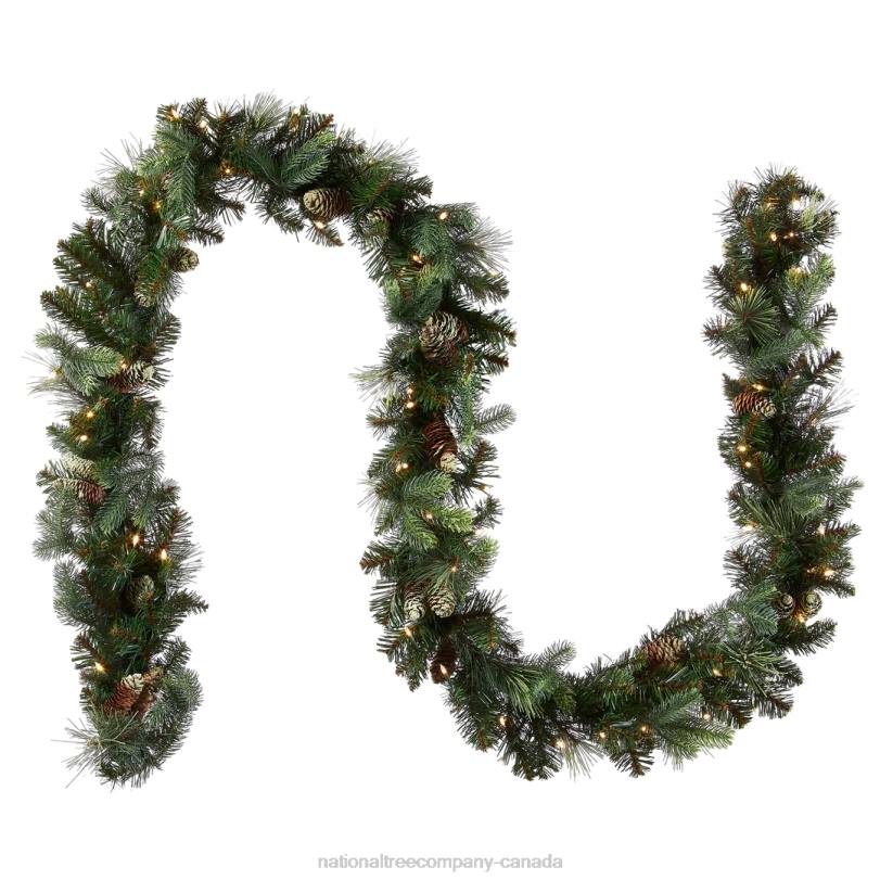 H4X0336National Tree Company Pre-Lit Artificial Christmas Garland, Green, Carolina Pine, White Lights, Decorated with Pine Cones, Battery Operated, Christmas Collection, 9 Feet