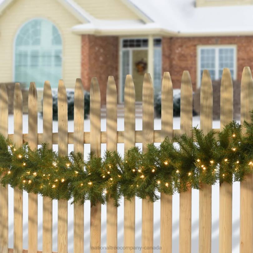 H4X0342National Tree Company Pre-Lit Artificial Christmas Garland, Green, Norwood Fir, White Lights, Plug In, Christmas Collection, 9 Feet