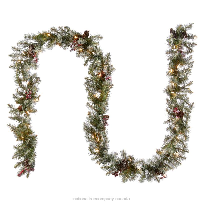 H4X0346National Tree Company 9 ft. Dunhill(R) Fir Garland with Clear Lights