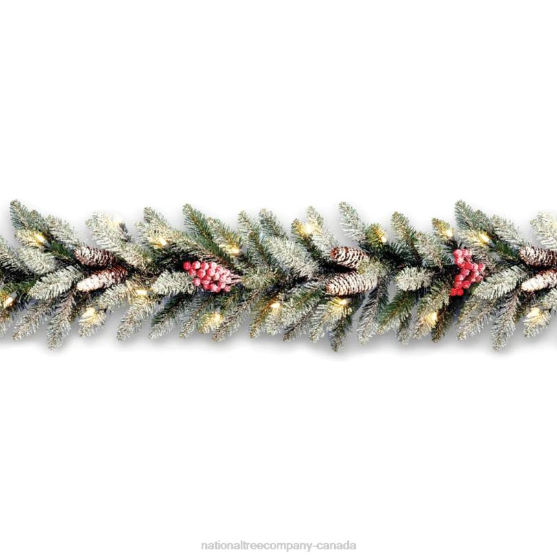 H4X0346National Tree Company 9 ft. Dunhill(R) Fir Garland with Clear Lights