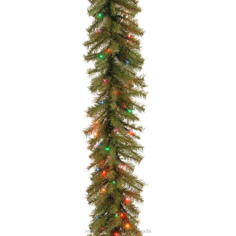 H4X0348National Tree Company Pre-Lit Artificial Christmas Garland, Green, Evergreen, Multicolor Lights, Plug In, Christmas Collection, 9 Feet