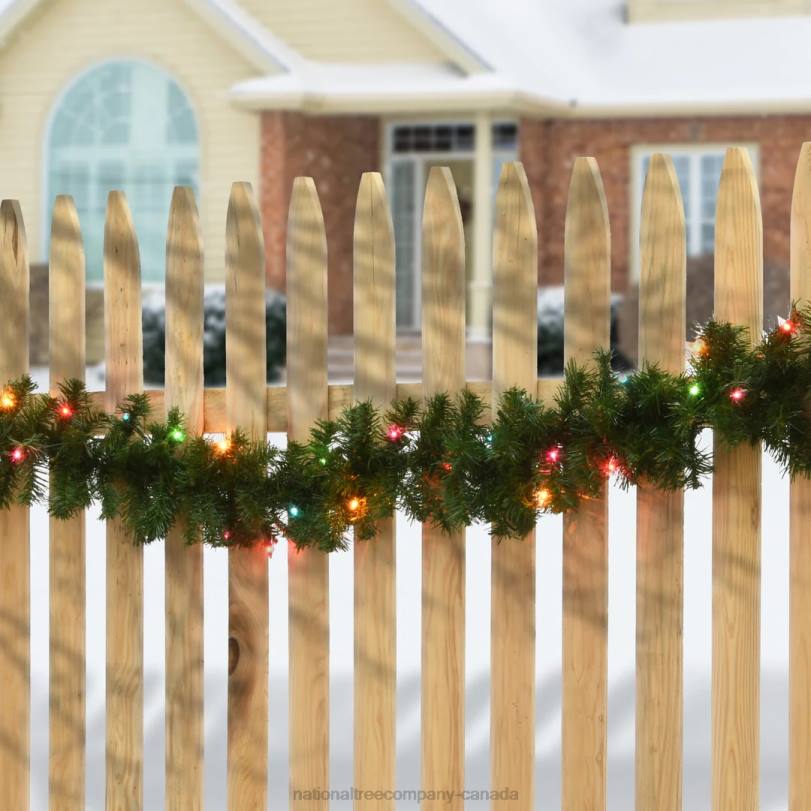 H4X0352National Tree Company Pre-Lit Artificial Christmas Garland, Green, Kincaid Spruce, Multicolor Lights, Plug In, Christmas Collection, 9 Feet