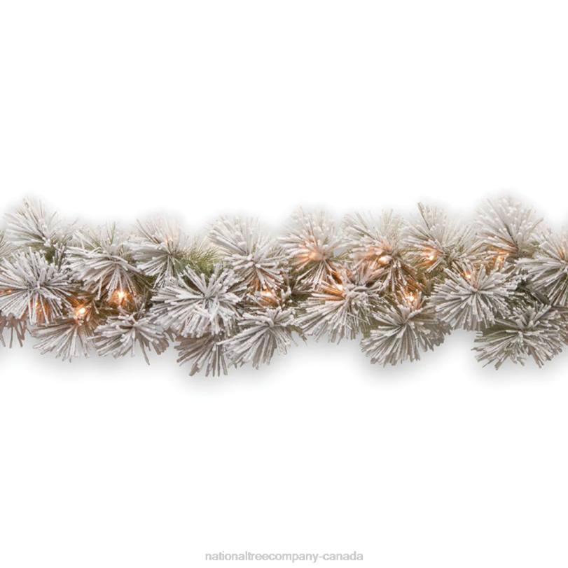 H4X0361National Tree Company Pre-Lit Artificial Christmas Garland, Green, Glittery Bristle Pine, White Lights, Decorated With Frosted Branches, Plug In, Christmas Collection, 9 Feet