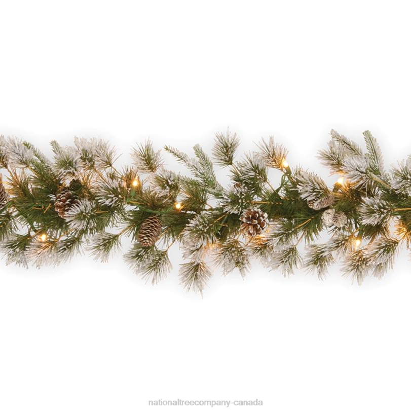 H4X0388National Tree Company Pre-Lit 'Feel Real' Artificial Christmas Garland, Green, Liberty Pine, White Lights, Decorated With Pine Cones, Frosted Branches, Plug In, Christmas Collection, 9 Feet