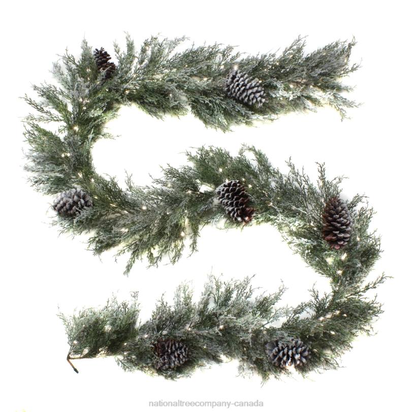 H4X0395National Tree Company Pre Lit Artificial Garland, Snowy Christmas, Green, Frosted, Decorated with Frosted Pine Cones, Pure White LED Lights, Battery Powered, Christmas Collection, 9 Feet