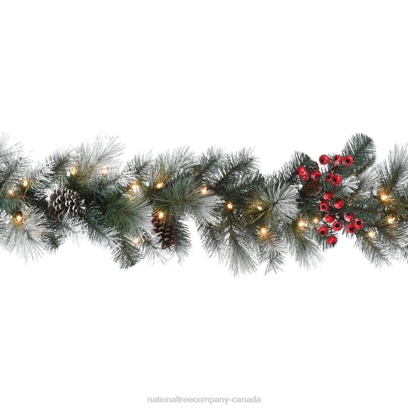 H4X0404National Tree Company Pre-Lit Artificial Christmas Garland, Green, Glacier Pine, White Lights, Decorated With Pine Cones, Berry Clusters, Frosted Branches, Plug In, Christmas Collection, 9 Feet